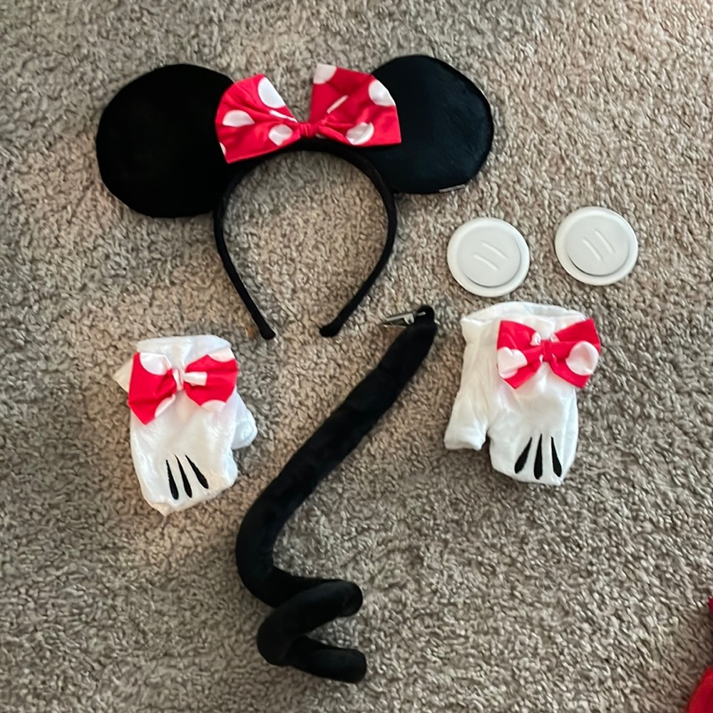 Minnie Mouse costume